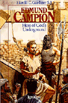 Vision Book series